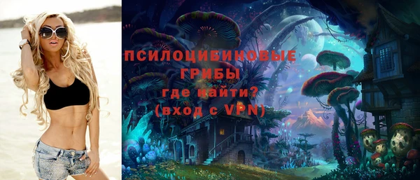 эйфоретик Абинск