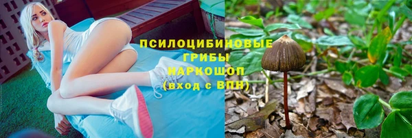 эйфоретик Абинск