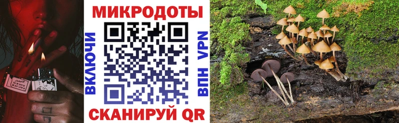 mega онион  Гаджиево  Галлюциногенные грибы мицелий 